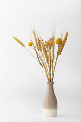 Dried flowers arranged in a vase with a simple background at home in daylight