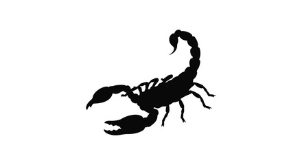 A striking silhouette of a black scorpion is displayed against a clean white background showcasing its anatomy © Kuntol02