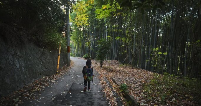Little boy in hoodie walking on narrow path near bamboo grove in slow motion