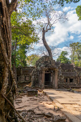 Angkor Thom, Siem Reap, Cambodia.  Ta Prohm temple with trees and roots clinging to the stonework - Entrance