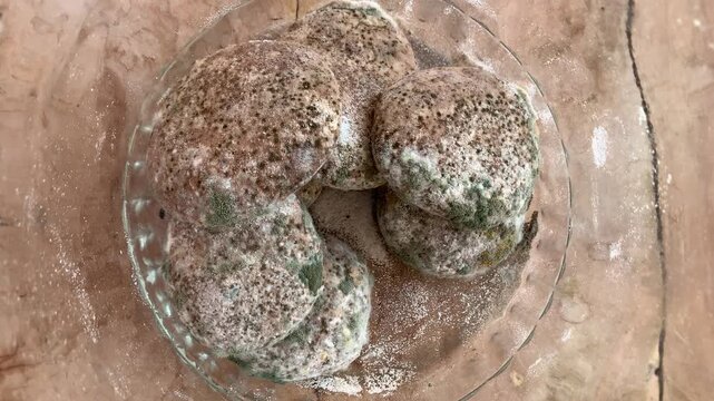 moldy bread in a jar.