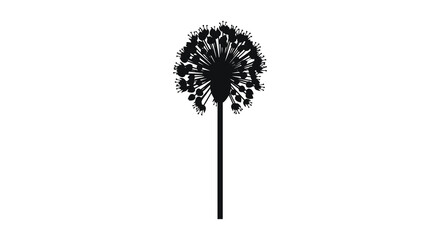 A striking black silhouette depicts a fully bloomed allium flower with a slender upright stem high quality professional © Kuntol02