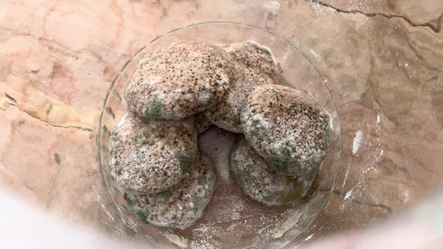 moldy bread in a jar.
