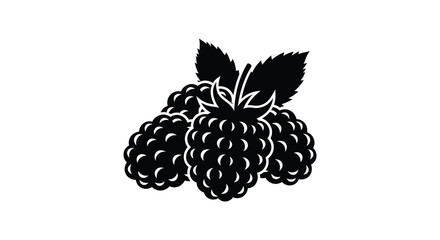 A striking black and white illustration depicts a cluster of ripe raspberries with detailed leaf structure high quality © Kuntol02