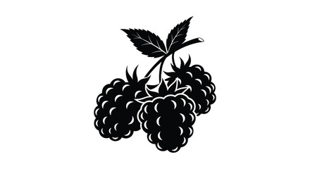 A striking black and white illustration depicts a cluster of ripe blackberries with a single leaf high quality professional detailed © Kuntol02