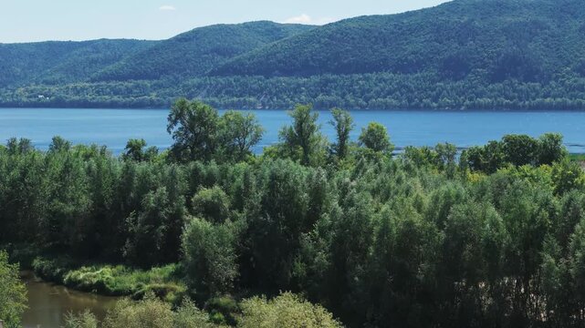 River view with green forest and distant hills