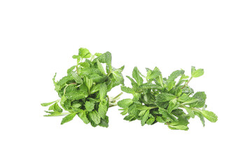 Fresh Mint Leaves Isolated on White Background