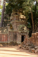 Naklejka premium Angkor Thom, Siem Reap, Cambodia. Ta Prohm temple with trees and roots clinging to the stonework - door and walls