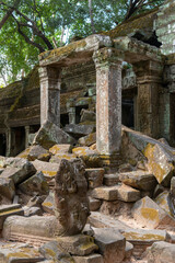 Angkor Thom, Siem Reap, Cambodia.  Ta Prohm temple with trees and roots clinging to the stonework - A fine entrance with Naga statue