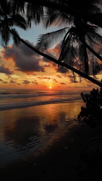 Vertical aerial video of Playa Uvita showing palm trees, ocean waves and colorful sunsets on Costa Rica&rsquo;s Pacific coast. Perfect for travel, nature and lifestyle content.