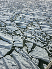 aerial close-up of fractured sea ice forming an intricate mosaic across dark water. The jagged white plates interlock like puzzle pieces, revealing the raw texture and movement of a frozen surface © tl6781