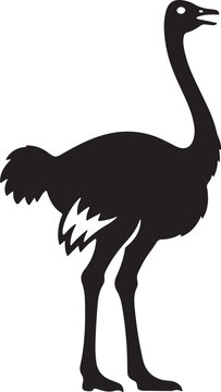Ostrich Silhouette Icon Wild African Bird Vector Illustration