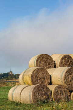 France, Les Moutiers-en-Retz, 44, bales of hay gathered in a marsh meadow.