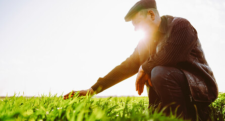 A person stands in a green field holding grass with roots in hands during sunset. The sun shines brightly in the background, casting a warm light over the scene. © maxbelchenko
