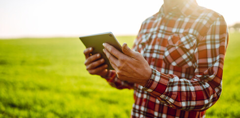 A man stands in a green field at sunset, holding a tablet. The sunlight creates a warm glow. The man is wearing a plaid shirt and appears to be staring intently at the device. © maxbelchenko