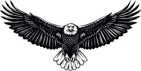 Majestic black and white eagle illustration in mid-flight with wings spread wide Vector