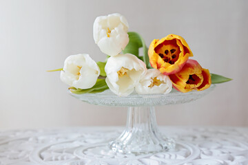 White and orange  in arrangement on glass plate