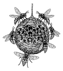 Obraz premium Hand drawn line art illustration of a wasp nest depicting wasps for nature or pest control