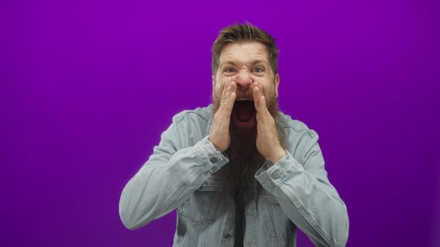 Bearded young caucasian man with fists raised and mouth open shouting in a vibrant purple studio setting; excitement.