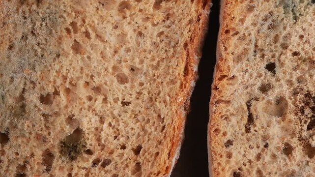 Moldy bread shows signs of spoilage in close-up view