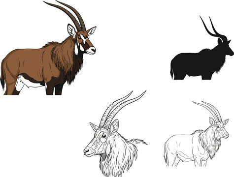 Five sable antelope illustrations showing full color, silhouette, and line drawings, wildlife artwork for education, design, nature, and animal themes