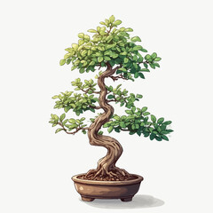 Bonsai Design Very Cool