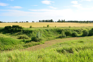 Sunny valley with Rural Landscape with Green Hills and Golden Fields