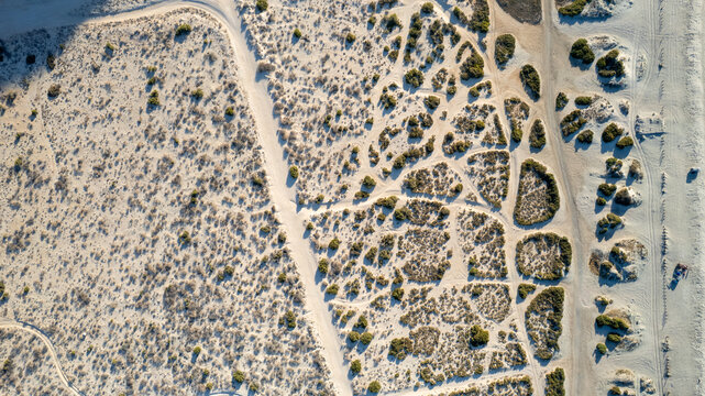 Aerial View of Coastal Sand Dunes with Vegetation at El Tecolote Beach, Baja California Sur, Mexico