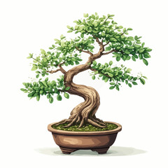 Bonsai Design Very Cool
