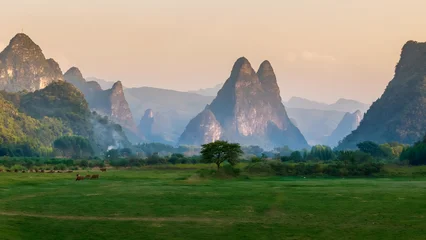 Keuken achterwand Guilin Guilin Karst Mountains with Grazing Livestock in Misty Valley  © Ngo