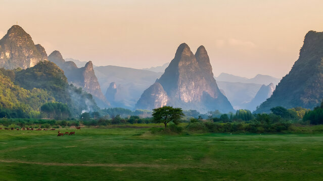 Guilin Karst Mountains with Grazing Livestock in Misty Valley