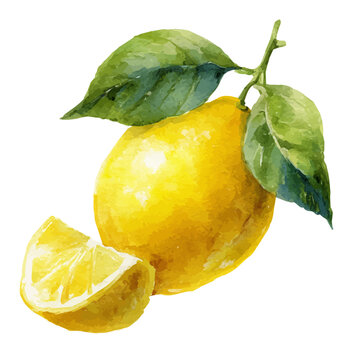 Watercolor isometric artwork featuring Lemon, presented on white background.