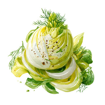 Fennel Salad in detailed isometric watercolor art, isolated on a pure white backdrop.