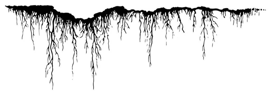 Detailed cross section of ground with many branching plant roots in ink sketch style