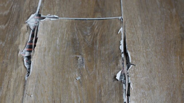 buckled laminate floor with torn planks and visible crack caused by heated floor expansion. closeup of damaged floor covering with lifted edges