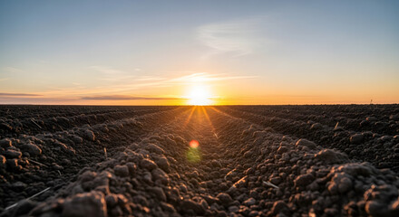 Agricultural field at sunset with plowed rows in foreground  