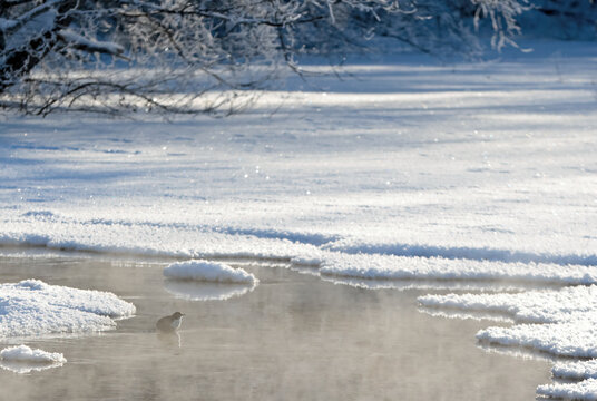 Freezing  river with  a dipper in the steaming water