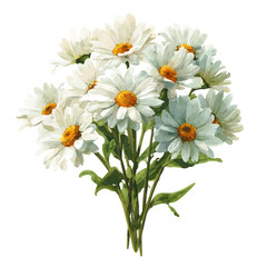 Fototapeta premium Isometric watercolor graphic of Daisy Bouquet, neatly isolated on white background.