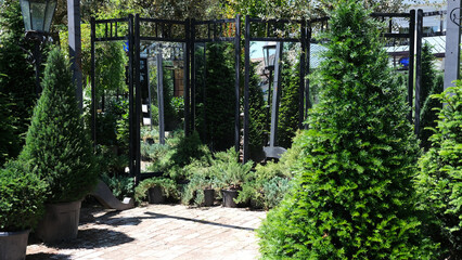 Obraz premium Modern Garden Design with Mirrored Screen for Landscaping