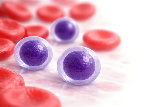 Photorealistic 3D illustrating lymphocytopenia: a clean bloodstream scene with noticeably fewer lymphocytes (small round cells with large nucleus-to-cytoplasm ratio) among normal red blood cells