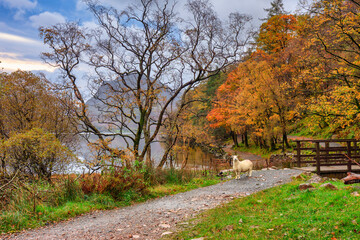 Beautiful autumn landscape of England. United Kingdom