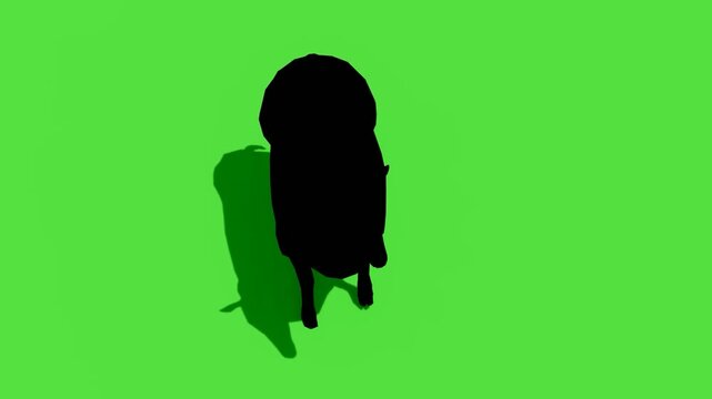 Sheep Silhouette Standing Isolated