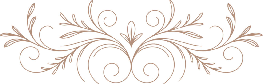 Elegant brown swirl flourish divider with leaves