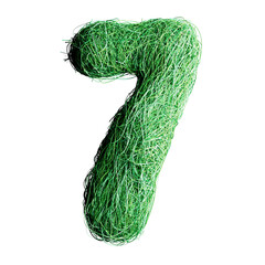 Eco Letter D Made of Green Grass Lines