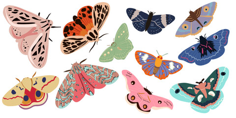 Colorful Butterflies Illustration on Bright Background