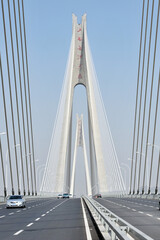 Obraz premium Nanchang Bayi Bridge Cable-Stayed Architecture in China