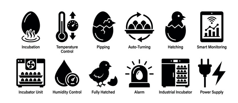 Black glyph icon set for egg incubation and poultry farming technology showing the hatching process, temperature control, smart monitoring, and industrial incubator equipment