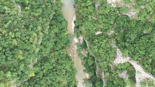 Aerial top view of forest river