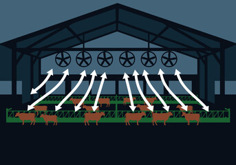 Barn air circulation fans cool livestock in a large agricultural building. Arrows illustrate airflow, showcasing efficient ventilation for animal comfort and health. © Vector Factory