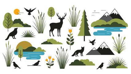 Flat lay illustration of various wildlife and landscape elements including animals, plants, and natural scenery arranged on a white background. © Steven